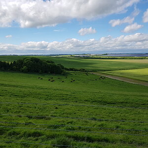 20170527_151822.jpg