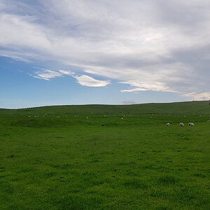 20170527_184109.jpg