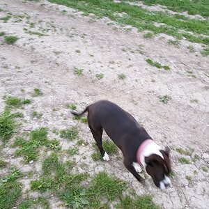 20170527_210836.jpg