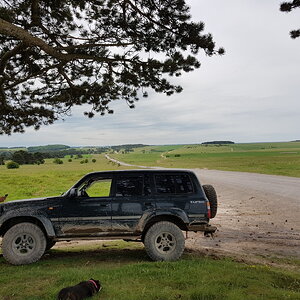 20170528_133239.jpg