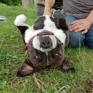 20170528_143953.jpg