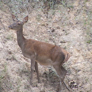 DSCF0751.JPG