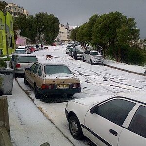 snow7.jpg