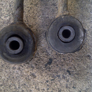IMG-20130605-00983.jpg