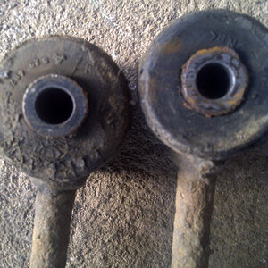 IMG-20130605-00984.jpg