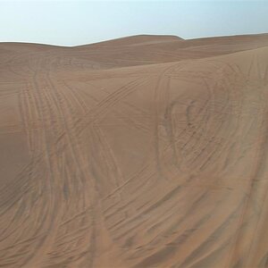 DSCF0039 (Medium).JPG