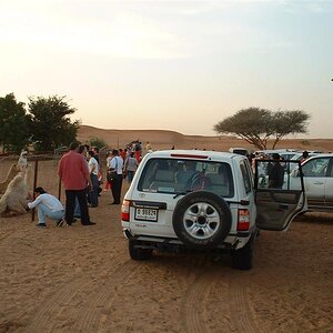 DSCF0041 (Medium).JPG