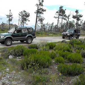 DSCF4708.jpg