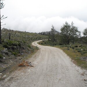 DSCF4706.jpg