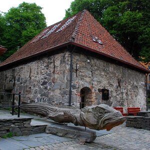 44.JPG