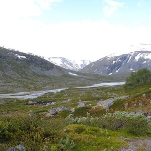 91.JPG
