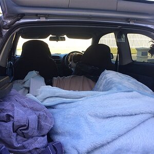 IMG_0644_zpsk6skzsks.jpg
