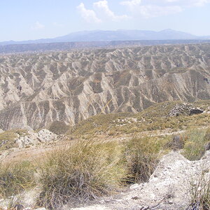 DSCF0848.JPG