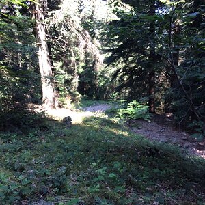 IMG_2853.JPG