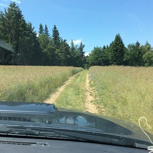 IMG_2859.JPG