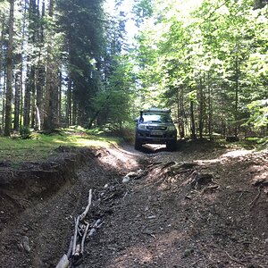 IMG_3897.JPG