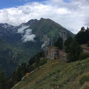 IMG_2995.JPG