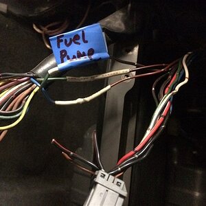 IMG_2032_zpssboefi9u.jpg