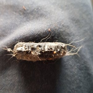 20170731_173928.jpg