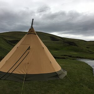 IMG_3131.JPG