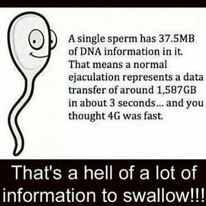DNA.jpg