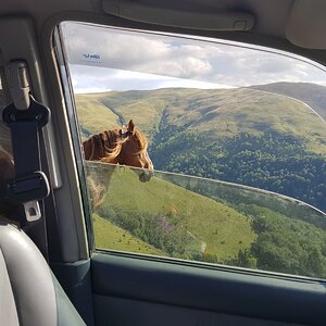 20170824_171919.jpg