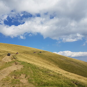 20170824_154555.jpg