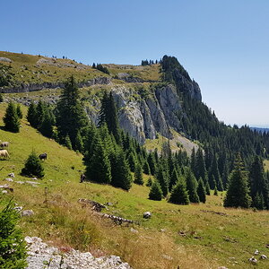 20170825_131324.jpg
