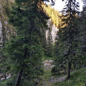 20170825_181156.jpg