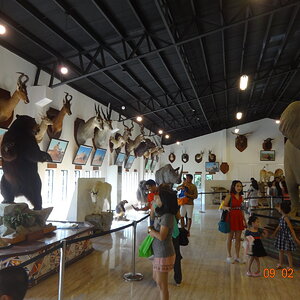 DSC05265.JPG