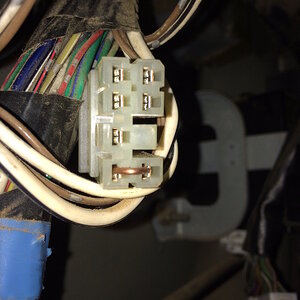 Timer Relay Plug IMG_3100.jpg