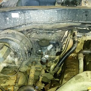20170910_164228.jpg