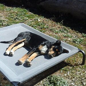 20170910_100436.jpg