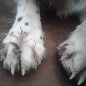 20160830_090022.jpg