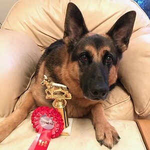 Max at Show (10) - 20170916.JPG
