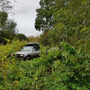 20170930_163047.jpg