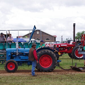 IMGP8807.JPG