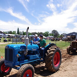 IMGP8847.JPG