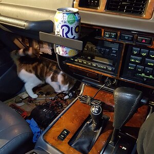 20171005_192738.jpg