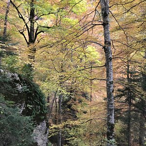 IMG_0617.JPG