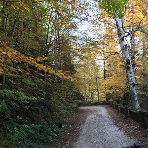 IMG_0629.JPG