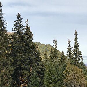 IMG_0636.JPG