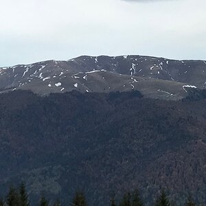 IMG_0637.JPG