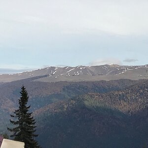 IMG_0638.JPG