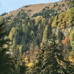 IMG_0642.JPG