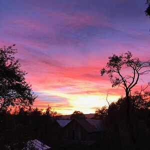 IMG_0655.JPG