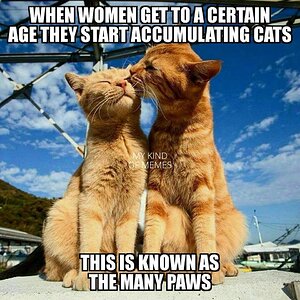 Many Paws.jpg