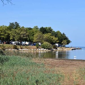 DSC_3246.jpg