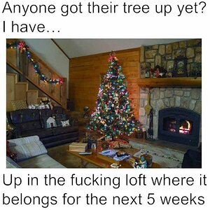 Xmas tree.jpg