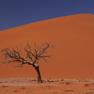 _MG_9633.JPG